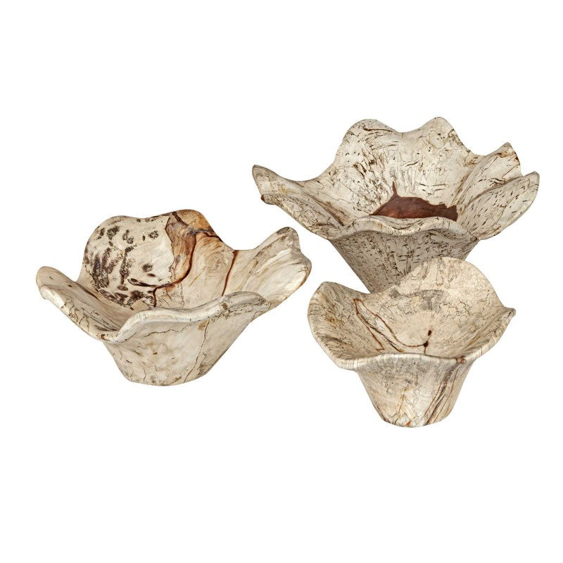 Teo - Wall Decor (Set of 3) - Bleached Wood