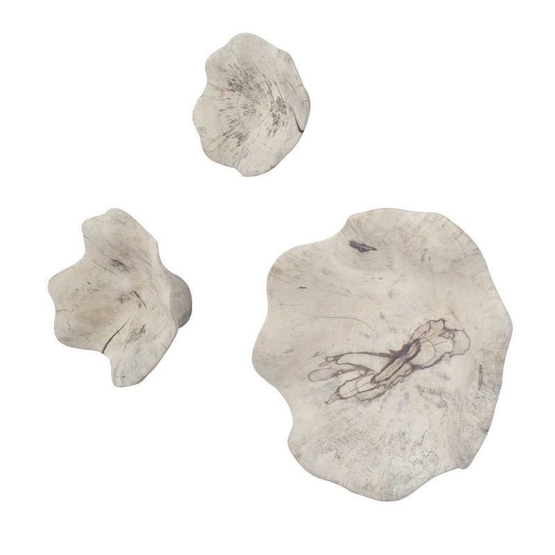 Teo - Wall Decor (Set of 3) - Bleached Wood