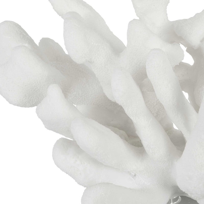 Charbel - Bookends (Set of 2) - White