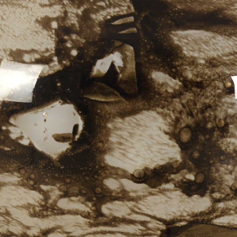 Montagu - Table Lamp - Dark Brown