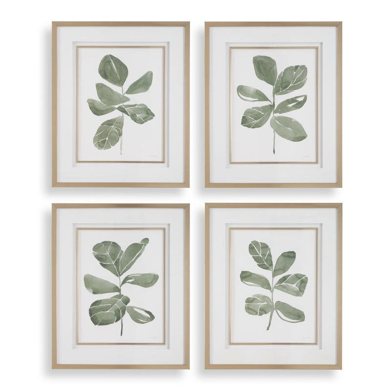 Fiddle Head - Leaf Botanical Prints (Set of 4) - Gold / Green / White