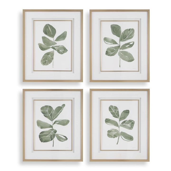 Fiddle Head - Leaf Botanical Prints (Set of 4) - Gold / Green / White