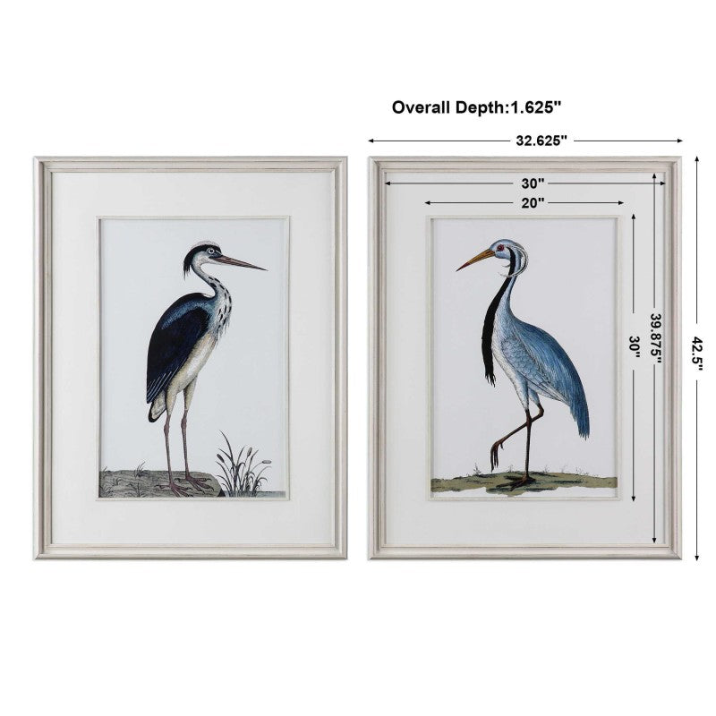 Shore Birds - Framed Prints (Set of 2) - Black