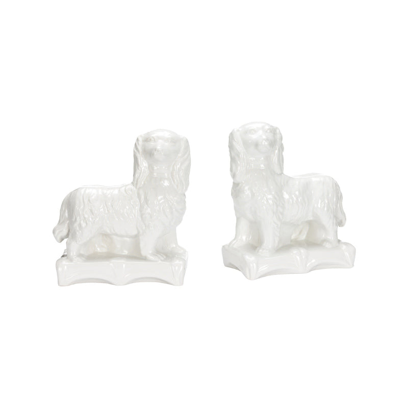 Staffordshire Spaniel (Pr) -White