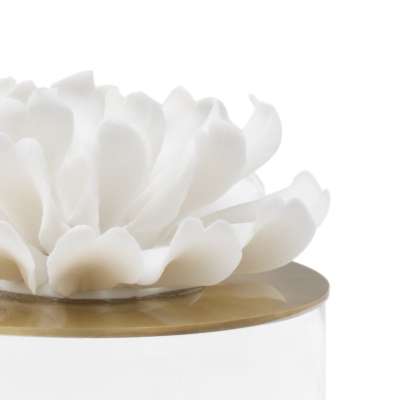 Succulent Sculpture (Lg)