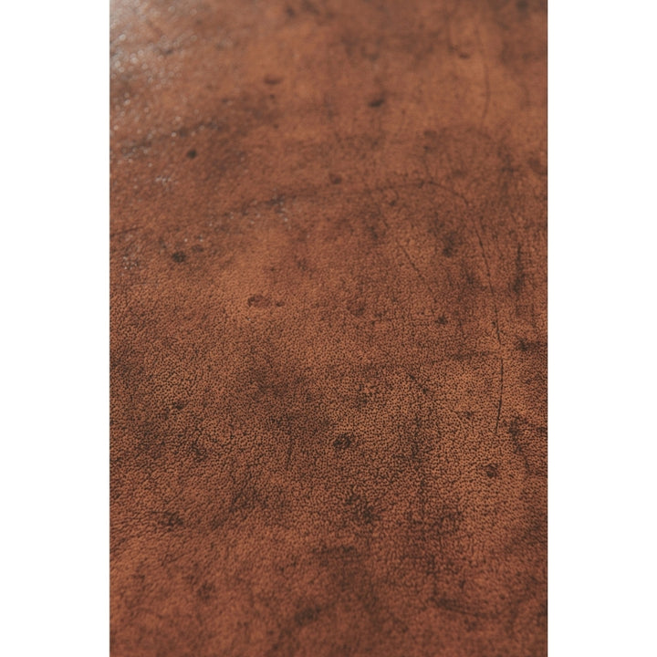 Characteristic Bookcase