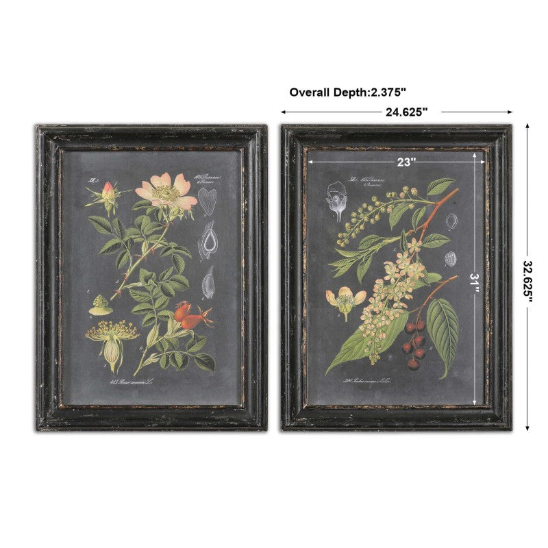 Midnight Botanicals - Wall Art (Set of 2) - Black