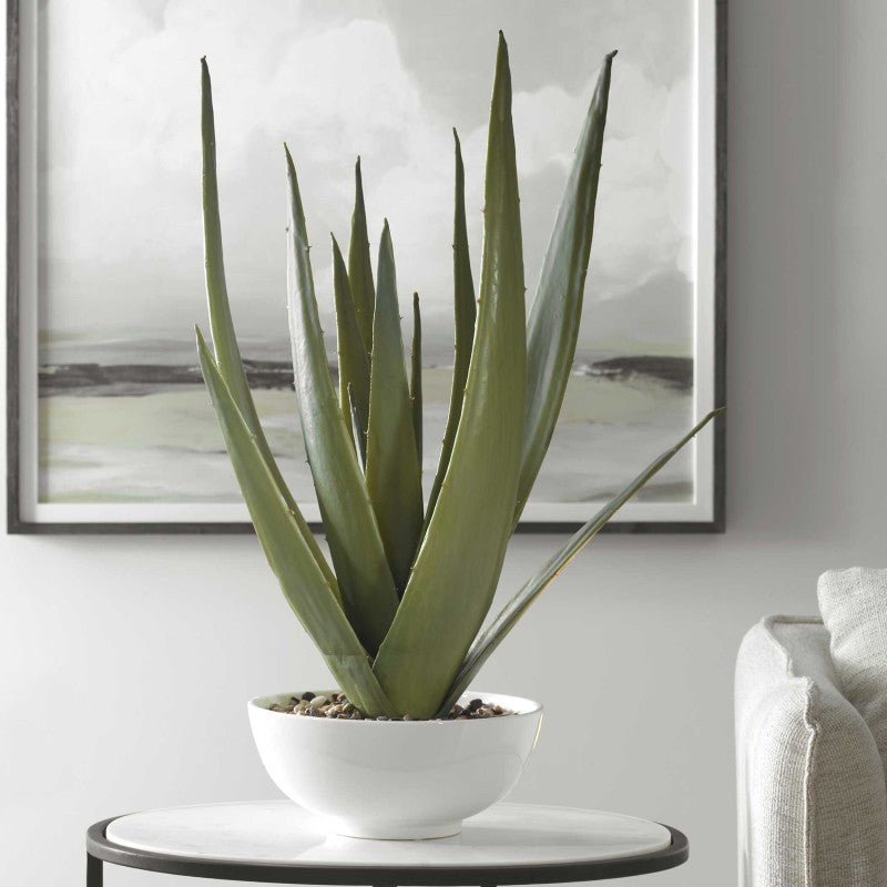 Evarado - Aloe Planter - White
