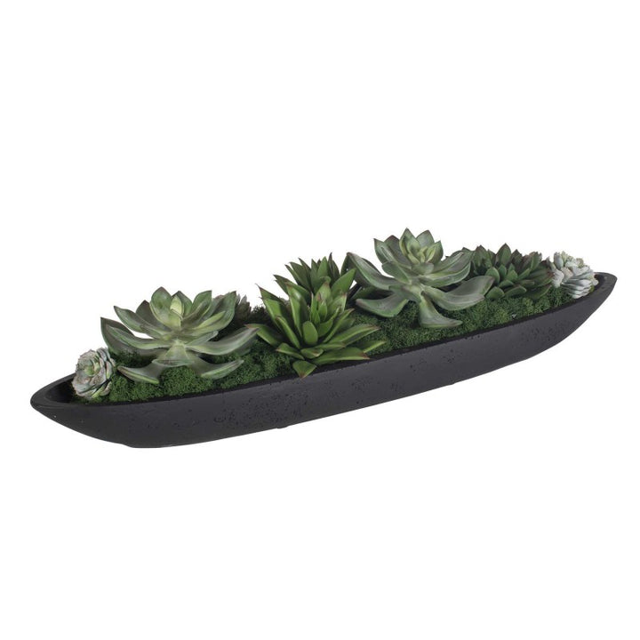 Verde - Succulent Centerpiece In Bowl - Black / Green