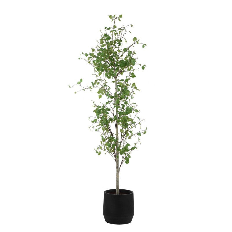 Boreal - Potted Birch Tree - Gray / Green