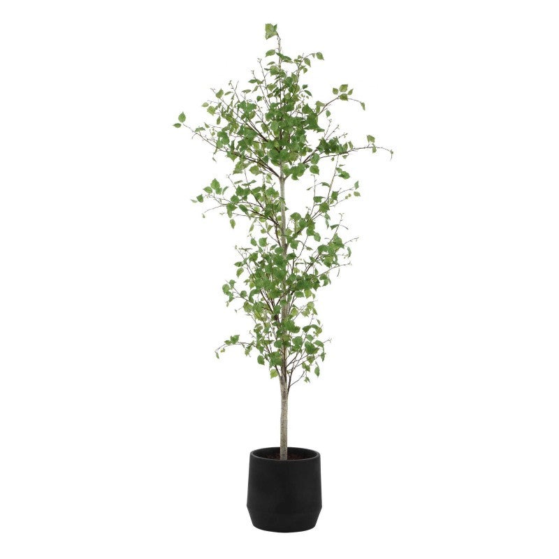Boreal - Potted Birch Tree - Gray / Green