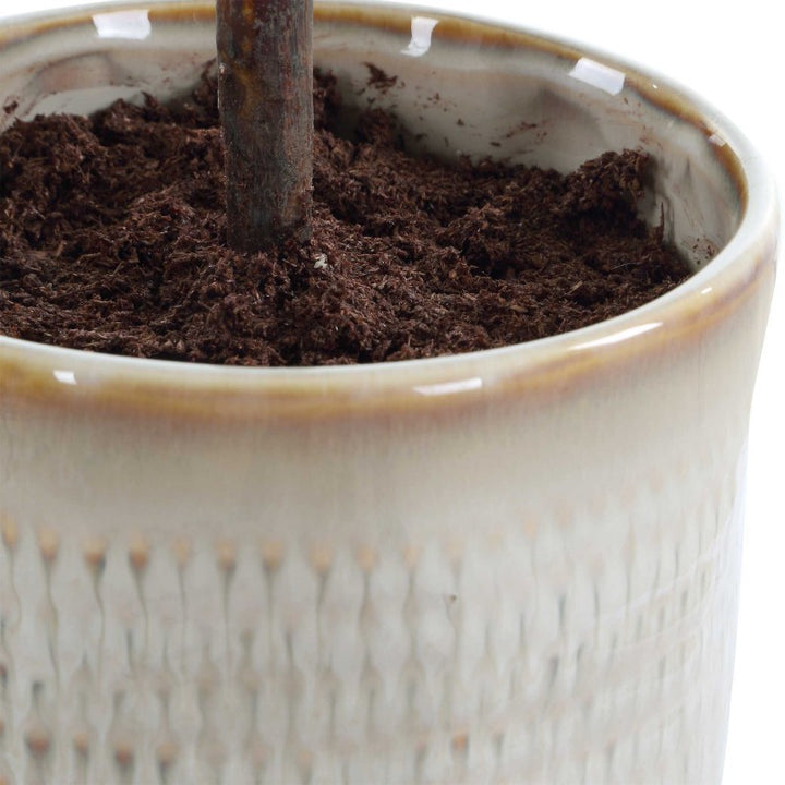 Solea Olive - Accent & Textured Vase - Brown / Green