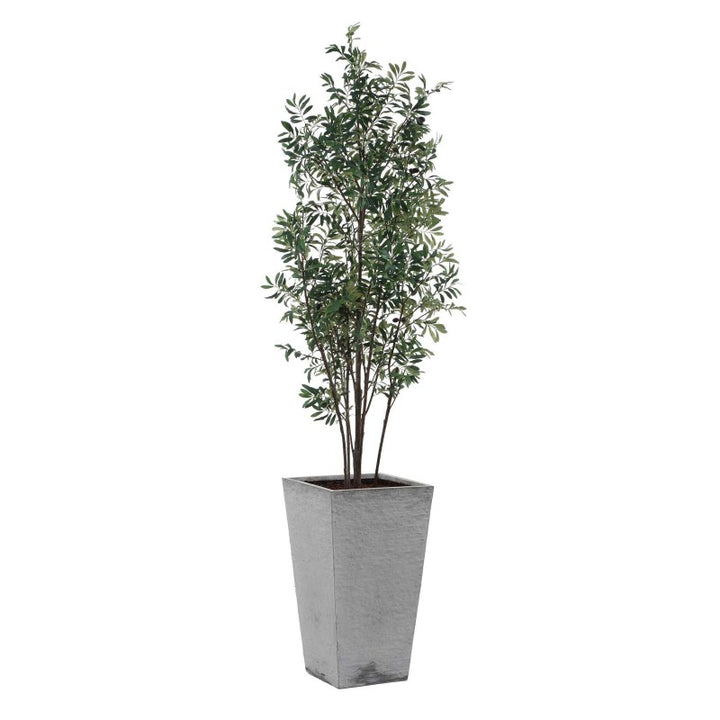 Sonora Olive - Tree In Planter - Gray / Green