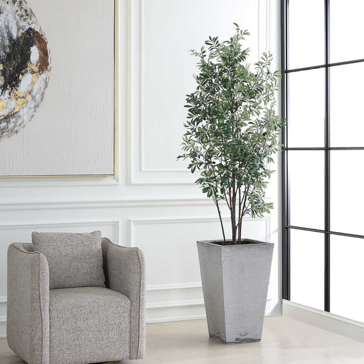 Sonora Olive - Tree In Planter - Gray / Green