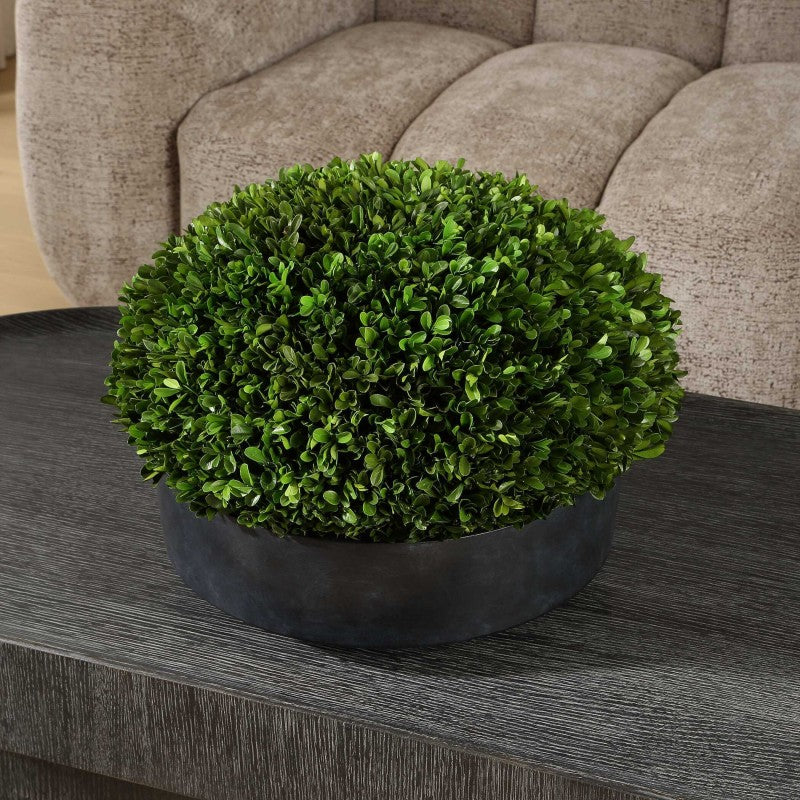 Verdana - Boxwood Centerpiece In Bowl - Gray / Green