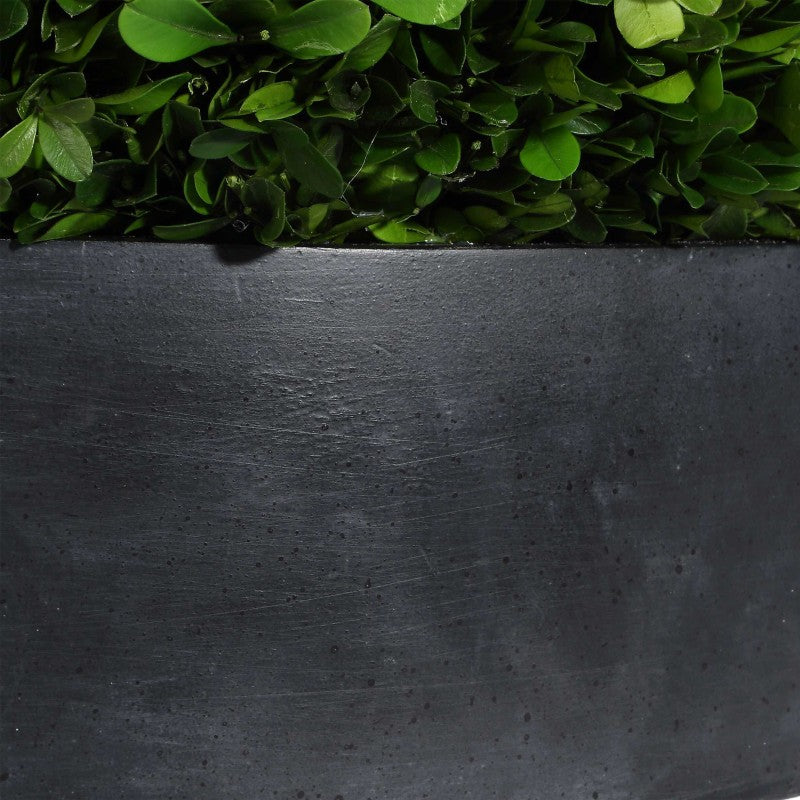 Verdana - Boxwood Centerpiece In Bowl - Gray / Green