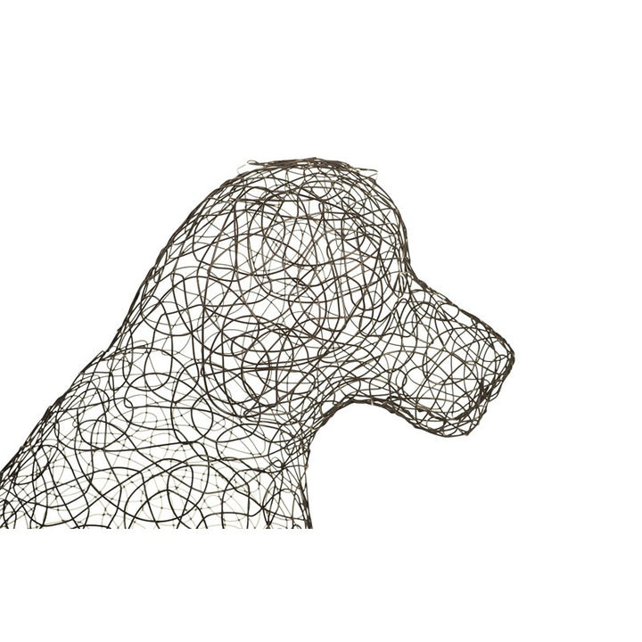 Crazy Wire Retriever