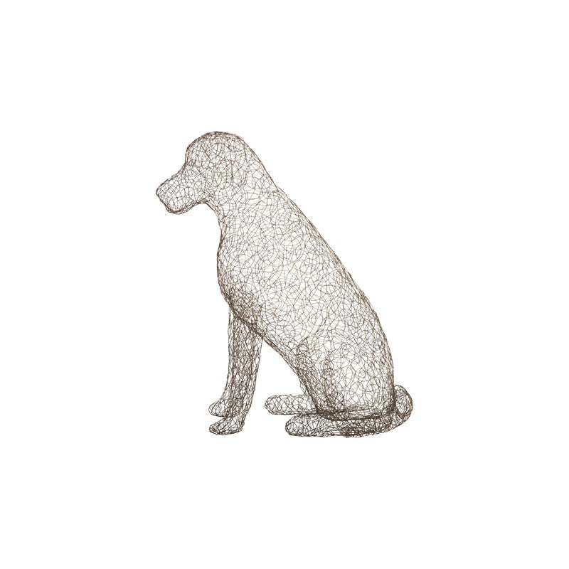 Crazy Wire Retriever