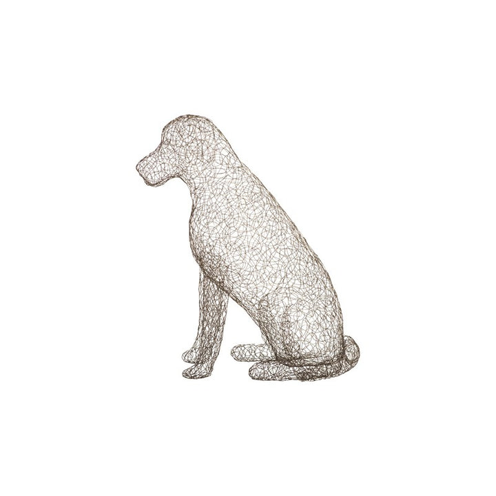 Crazy Wire Retriever