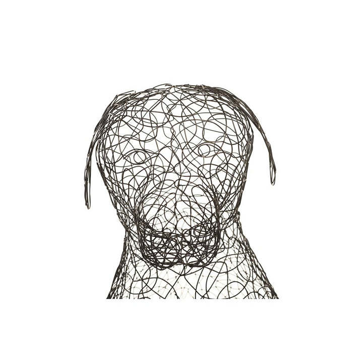 Crazy Wire Retriever