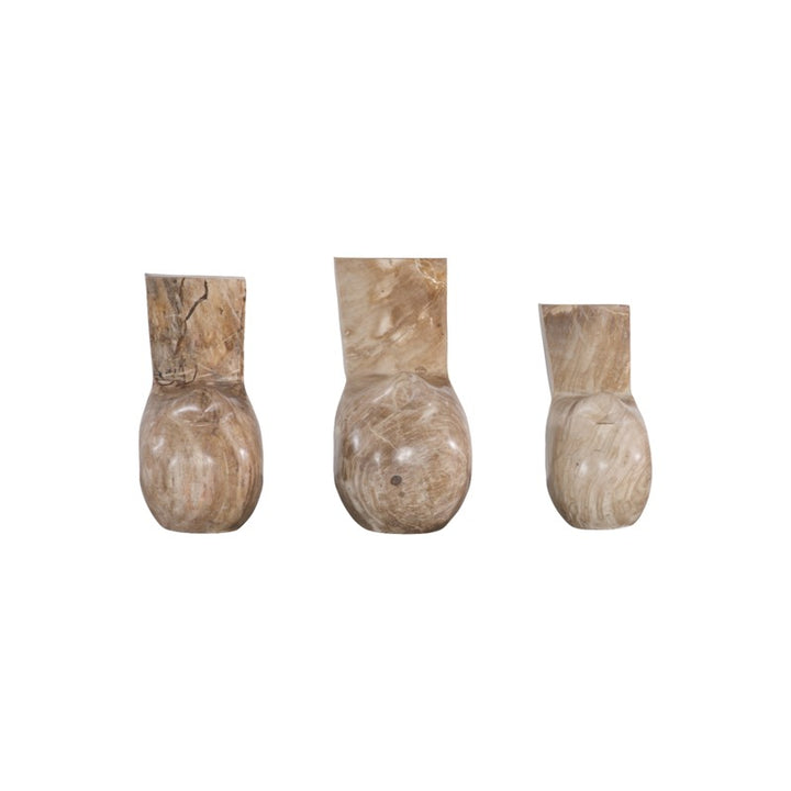 Petrified Wood Birds