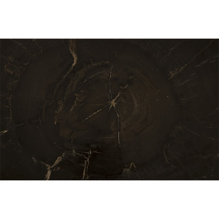 Petrified Wood Coffee Table