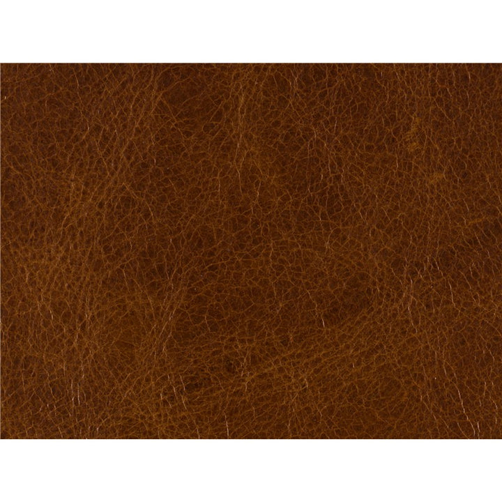 RC - Shasta Recliner