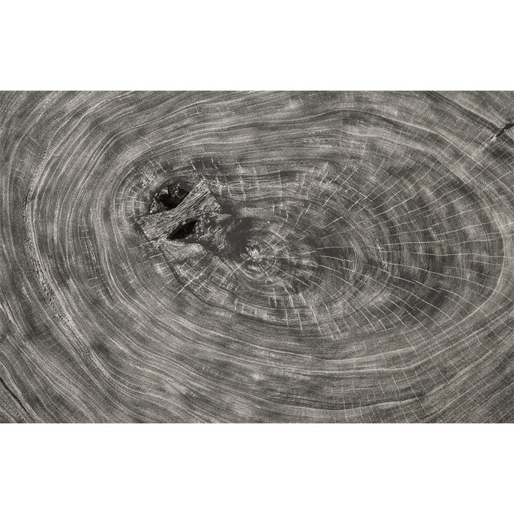 Floating Coffee Table on Acrylic Legs